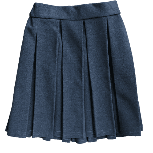 Pleated Skirt